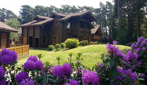 Deluxe-Chalet, 3 Schlafzimmer, Blick auf die Anlage, zum Garten hin