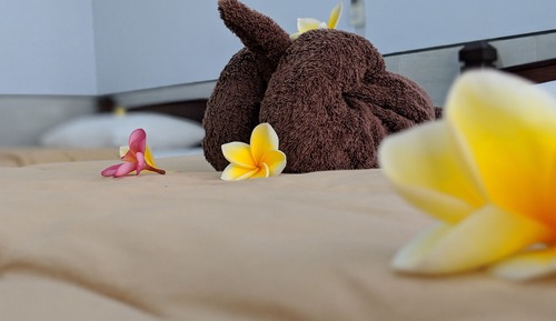Deluxe-Zweibettzimmer, Balkon, Poolblick