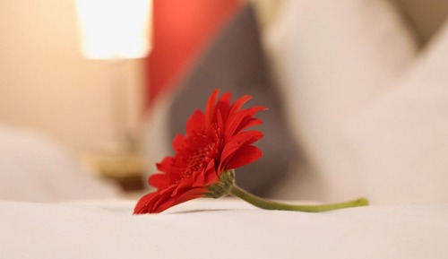 Comfort-Einzelzimmer (PLUS)