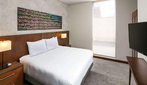 Suite, 1 King-Bett und Schlafsofa, barrierefrei (Shower)