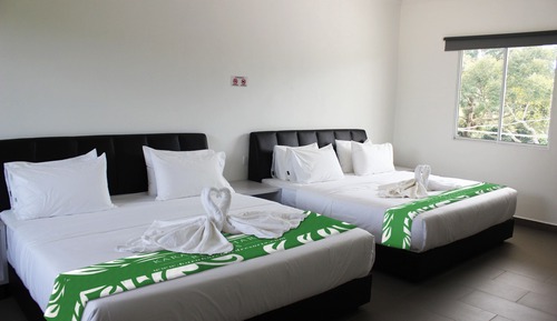 Familien-Vierbettzimmer, Hügelblick