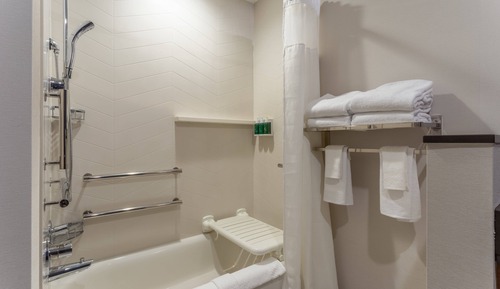 Suite, 1 King-Bett und Schlafsofa (Mobility Accessible, Tub)