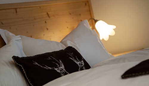 Superior-Doppel- oder -Zweibettzimmer, Bergblick