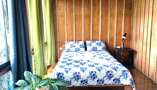 Standard-Ferienhütte