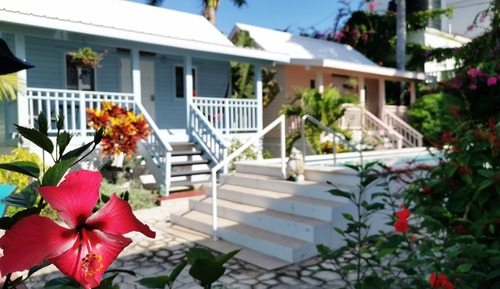 Deluxe-Ferienhaus, 1 King-Bett, Nichtraucher, Poolblick