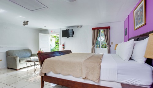 Standardzimmer, 1 King-Bett, Nichtraucher, Gartenblick