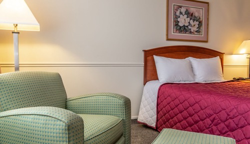 Basic-Einzelzimmer, 1 Queen-Bett