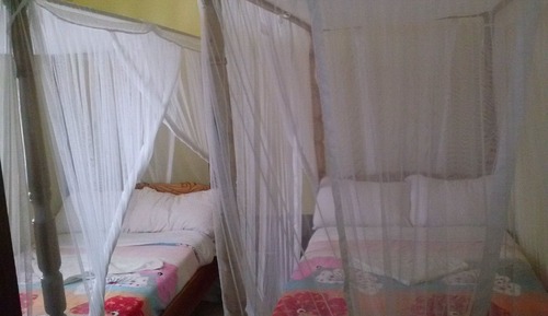 Basic-Doppel- oder -Zweibettzimmer