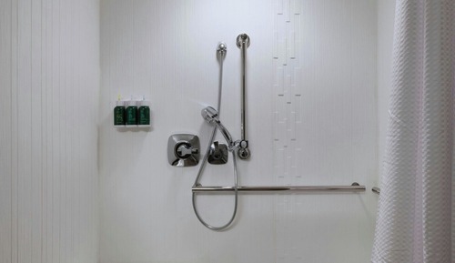 Suite, 1 Schlafzimmer (Mobility/Hearing Access, Roll-in Shwr)