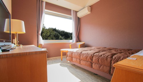 Economy-Doppelzimmer, Nichtraucher (Indoor Bath)