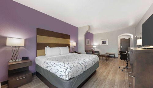 Suite, 1 King-Bett, Nichtraucher, Kühlschrank und Mikrowelle (Shower Only;with Sofabed)