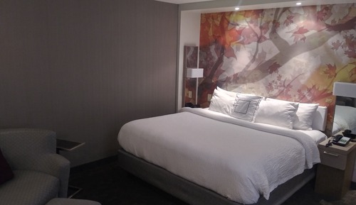 Zimmer, 1 King-Bett und Schlafsofa (Mobility Accessible, Tub)