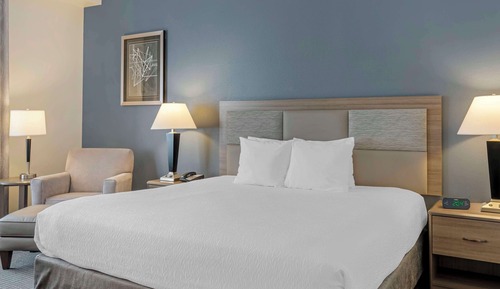 Standardzimmer, 1 King-Bett, Nichtraucher, Kühlschrank