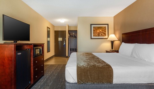 Standardzimmer, 1 King-Bett, Nichtraucher, Mikrowelle