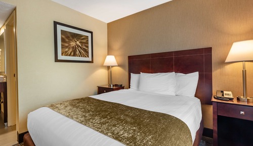 Standardzimmer, 1 Queen-Bett, Nichtraucher, Mikrowelle