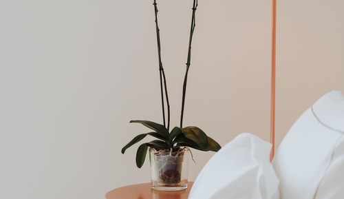 Superior-Doppelzimmer (Spa Access)