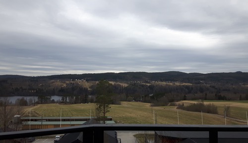 Standard-Einzelzimmer