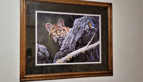 Design-Doppelzimmer, 1 Queen-Bett, Nichtraucher, Gemeinschaftsbad (Moose)