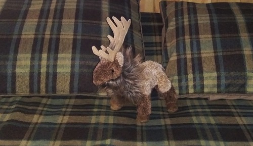 Vierbettzimmer, 2 Queen-Betten, Gemeinschaftsbad (Elk)