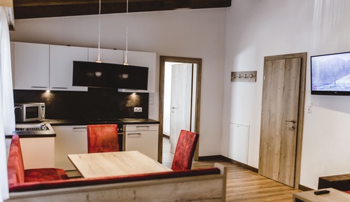 Apartment, 1 Schlafzimmer (Top 2) (zzgl. Reinigungsgebühr 100 Euro)