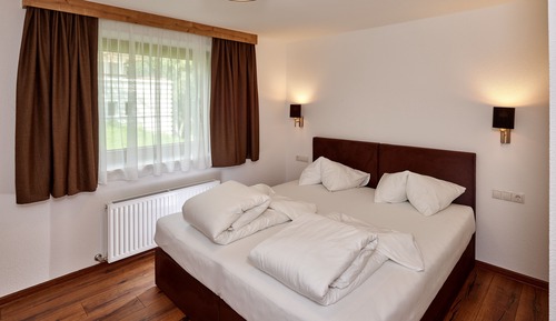 Apartment, 1 Schlafzimmer (Top 5) (zzgl. Reinigungsgebühr 100 Euro)
