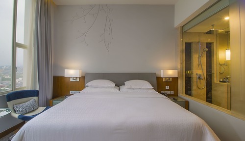 Zimmer, 1 King-Bett, Stadtblick