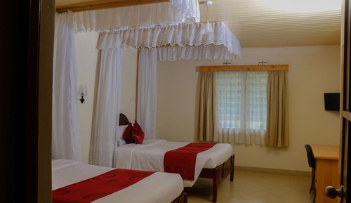 Executive-Doppelzimmer, Gartenblick