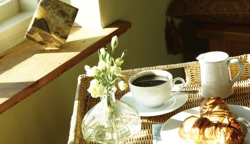 Superior-Ferienhaus, 1 Schlafzimmer, Kamin, zum Garten hin