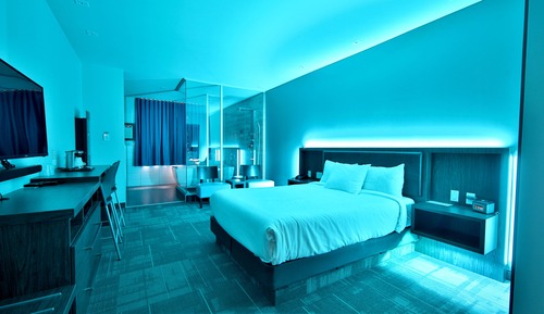 Suite, 1 Queen-Bett
