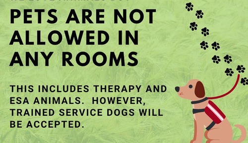 Studio, 1 Queen-Bett, Kochnische