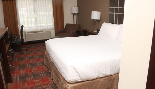 Standardzimmer, 1 King-Bett, barrierefrei, Nichtraucher (Communications)