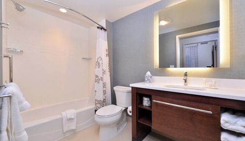 Suite, 1 Schlafzimmer (Mobility/Hearing Access, Roll-In Shwr)