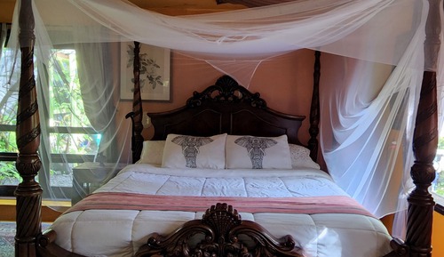 Suite, Mehrere Betten, Kühlschrank und Mikrowelle, zum Garten hin