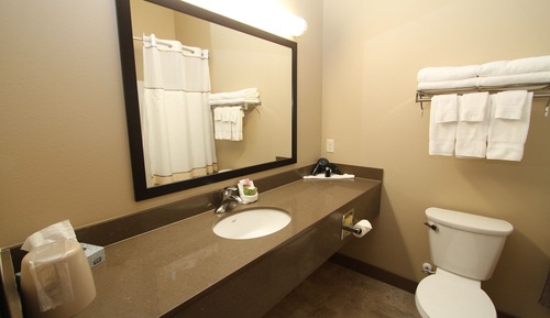 Standardzimmer, 1 King-Bett, Kühlschrank und Mikrowelle (Pet Friendly)