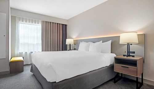 Suite, 1 King-Bett und Schlafsofa, barrierefrei, Nichtraucher (Efficiency)