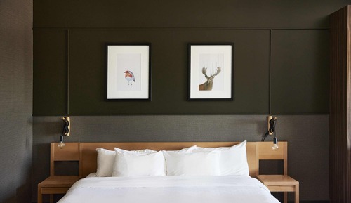 Executive-Studiosuite, 1 Queen-Bett und Schlafsofa