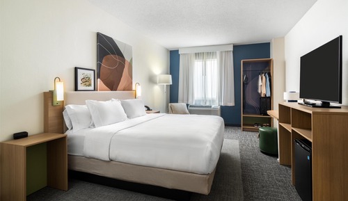 Room, 1 King Bed, Accessible, Bathtub (Mobility)