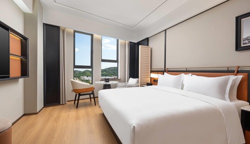 Zimmer, 1 King-Bett, Nichtraucher, Bergblick
