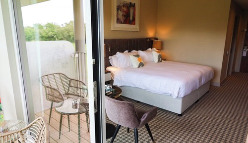 Standardzimmer, 1 King-Bett, barrierefrei, Terrasse (Paddock View)