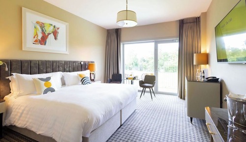 Standardzimmer, 1 King-Bett, Terrasse (Paddock View)