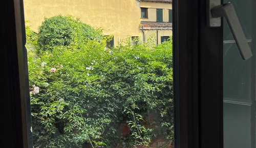 Standardzimmer, Gartenblick
