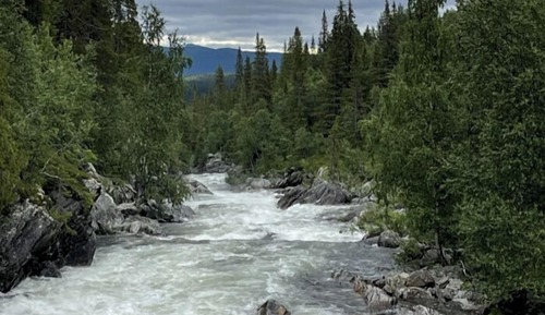 Classic Double or Twin Room, Mountain View