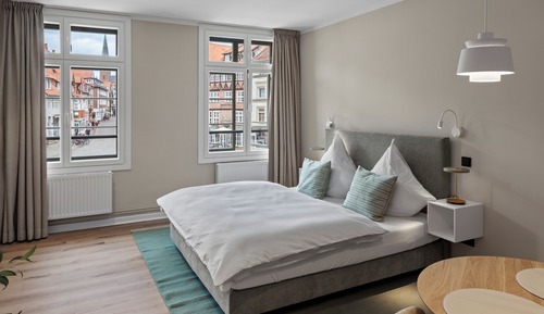 Deluxe Apartment, City View