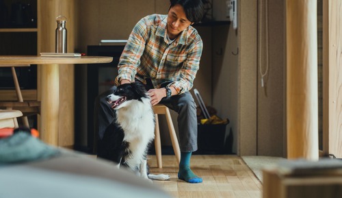 Zimmer, Haustiere gestattet, Bergblick (Simple  [Dog-Friendly, Mt. Fuji])