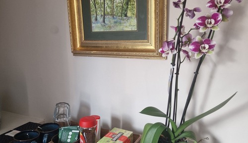 Luxury-Doppelzimmer, Stadtblick