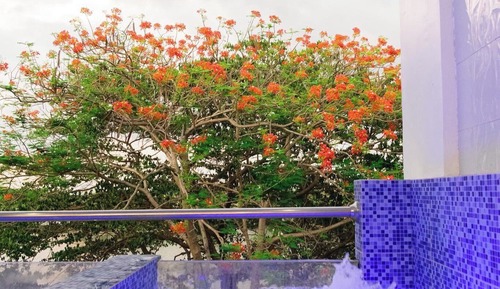 Luxury Villa, Lake View