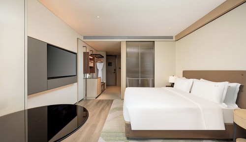 Standard Room, 1 King Bed, Accessible