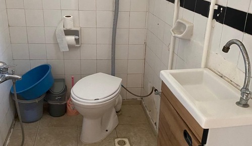 Basic Room, Garden View