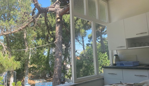 Basic Triple Room, Balcony