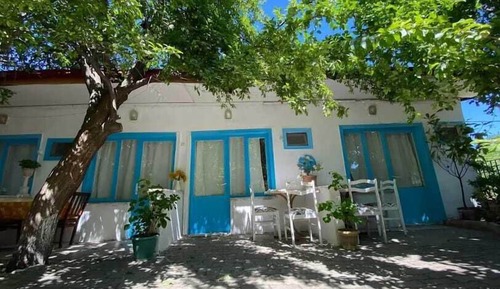 Classic-Doppel- oder -Zweibettzimmer, Gartenblick